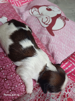 Bebe 3
